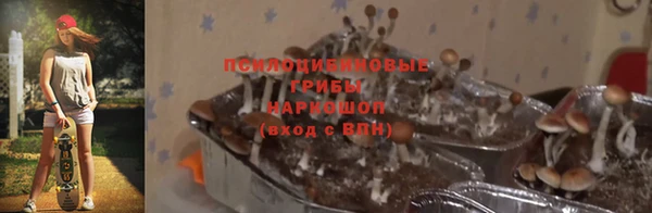 ALPHA-PVP Нефтекумск