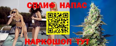 МДПВ Гатчина