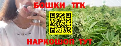 МДПВ Гатчина