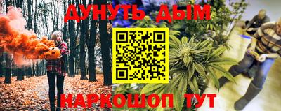МДПВ Гатчина