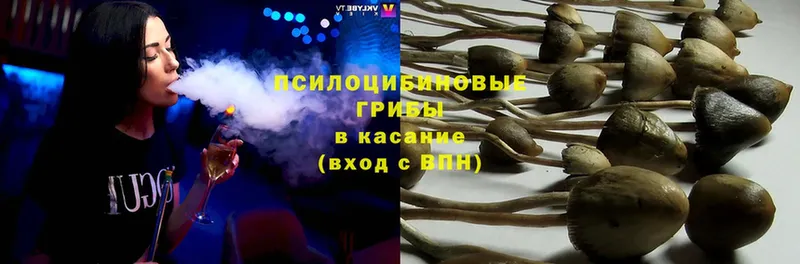 Галлюциногенные грибы MAGIC MUSHROOMS  МЕГА вход  Ессентуки 