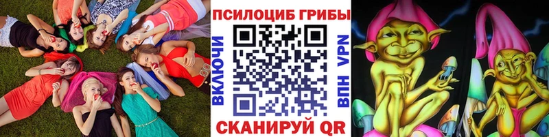 где найти   Ессентуки  Галлюциногенные грибы ЛСД 