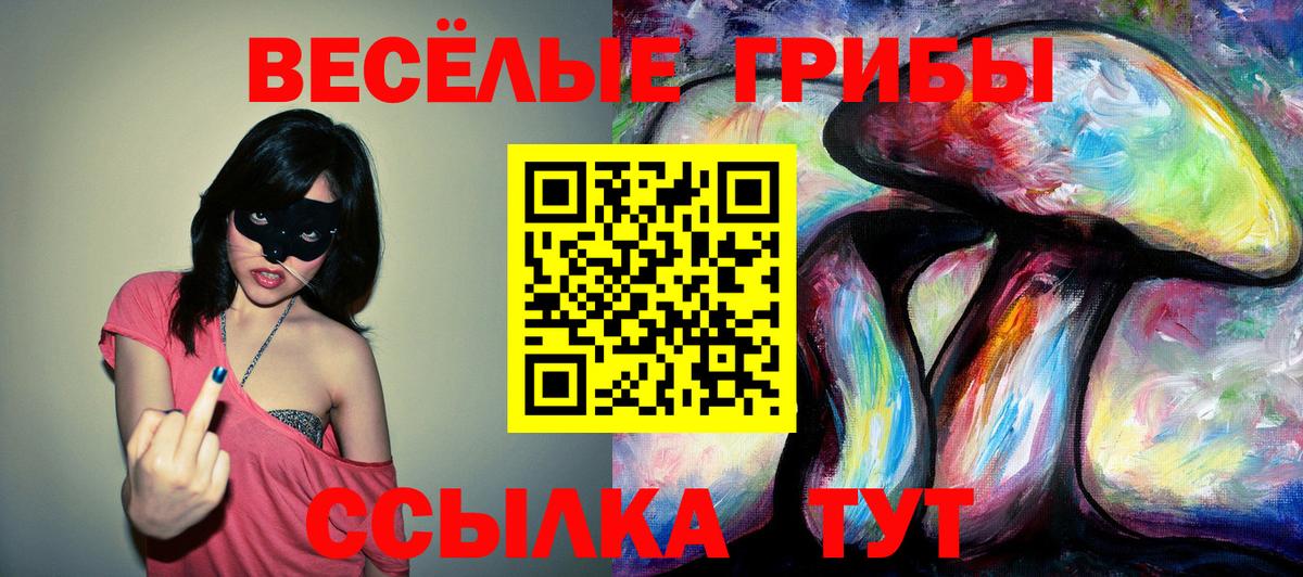 Галлюциногенные грибы прущие грибы Ессентуки