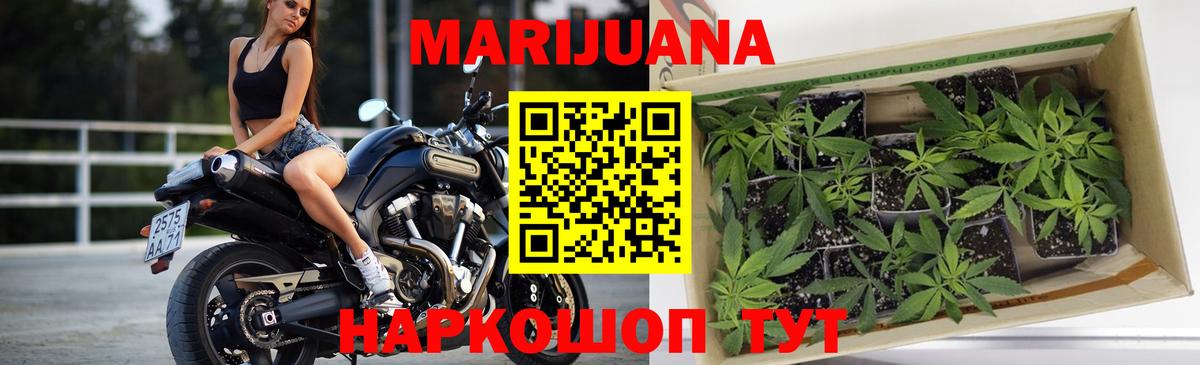 Ессентуки  МАРИХУАНА Bruce Banner  Вход с VPN  Бошки марихуана сатива  Бошки Шишки Bruce Banner 